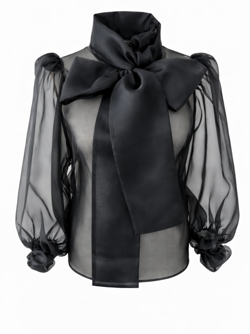 image_DBAE3E9C-6C0C-4816-9221-D152511CC541_1768576312 BLUZKA VOILE